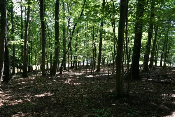 Blue Ridge, VA 24064,0 Blue Ridge DR