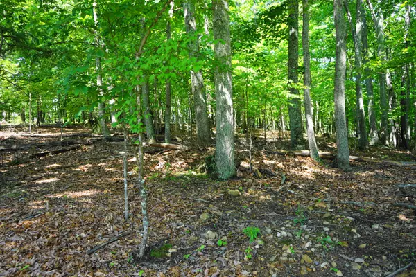 Blue Ridge, VA 24064,0 Blue Ridge DR