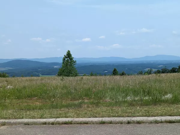 Rocky Mount, VA 24151,Lot 61 Penny LN