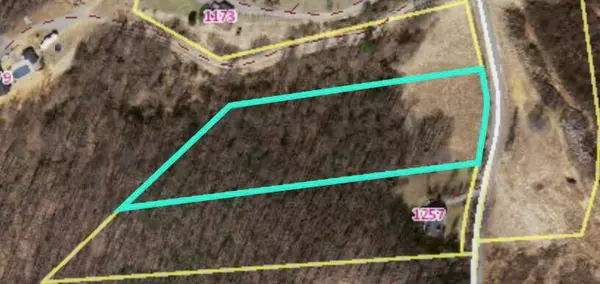 Blue Ridge, VA 24064,0 Wooldridge RD