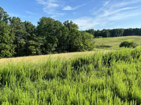 Wirtz, VA 24184,Lot 46 Crestview RD