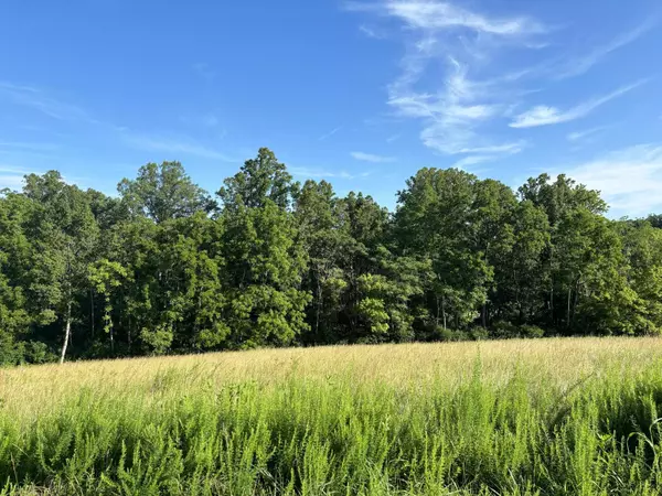 Wirtz, VA 24184,Lot 46 Crestview RD