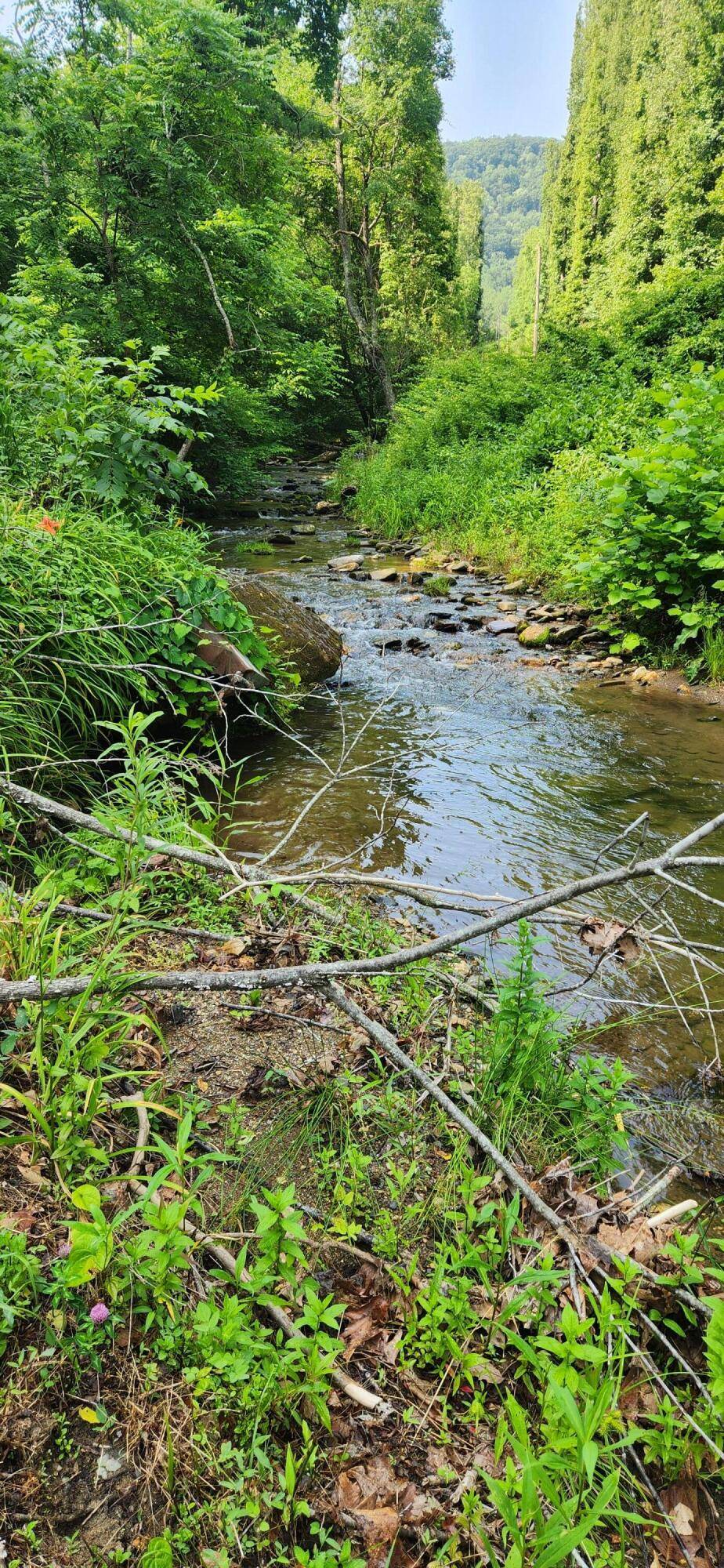00 Runnett Bag RD, Ferrum, VA 24088