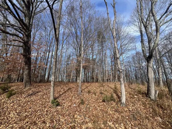 Moneta, VA 24121,LOT 10 BINNACLE DR