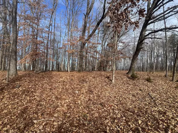 Moneta, VA 24121,LOT 10 BINNACLE DR