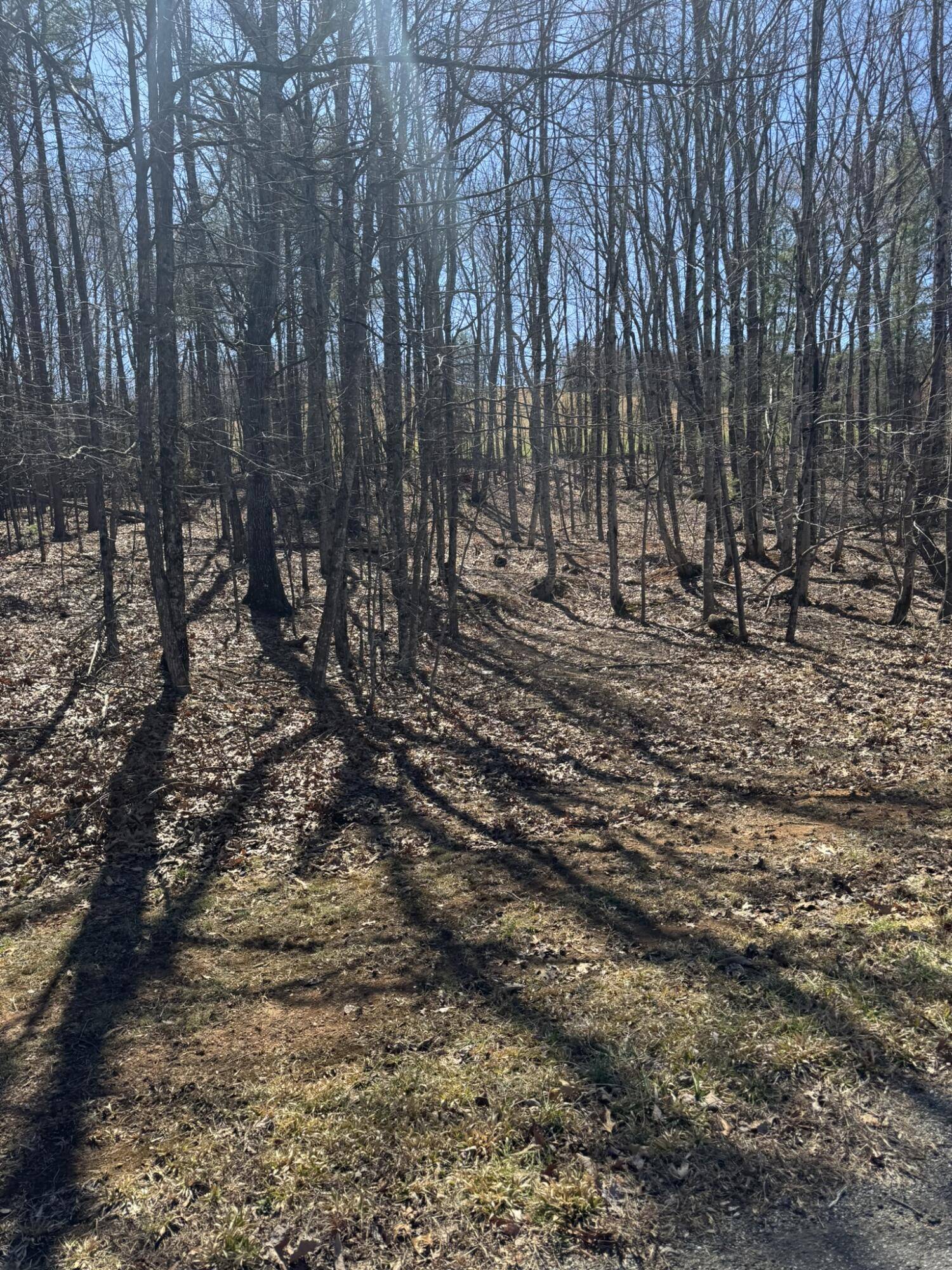 Henry, VA 24102,Lot 10A Navajo CIR