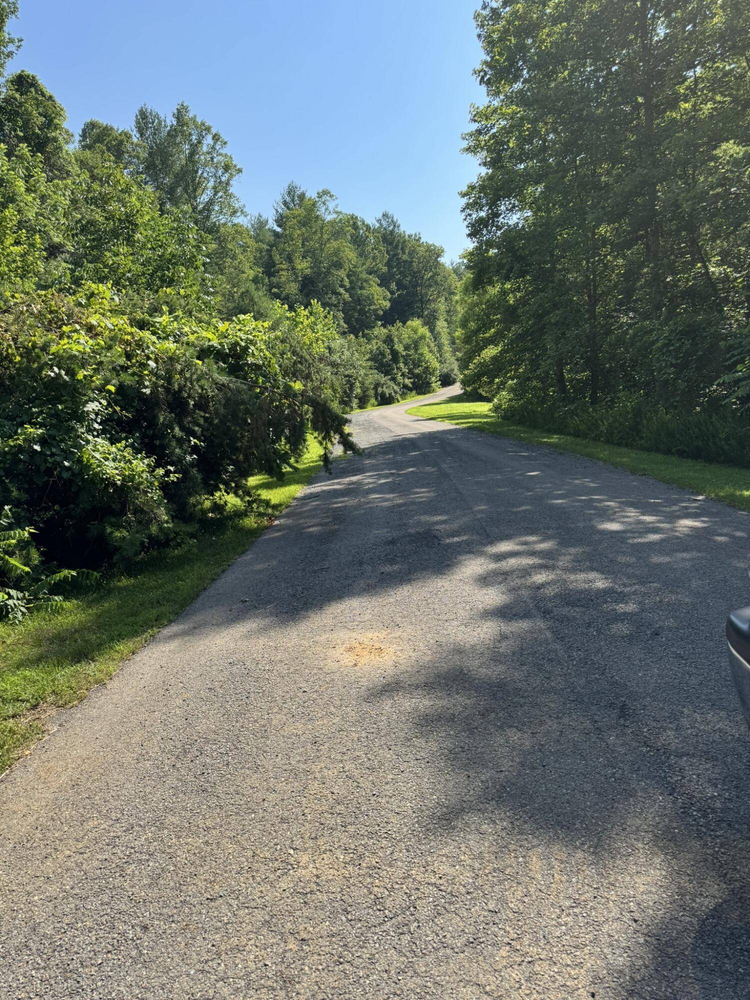 Callaway, VA 24067,Tract 11 Mint LN