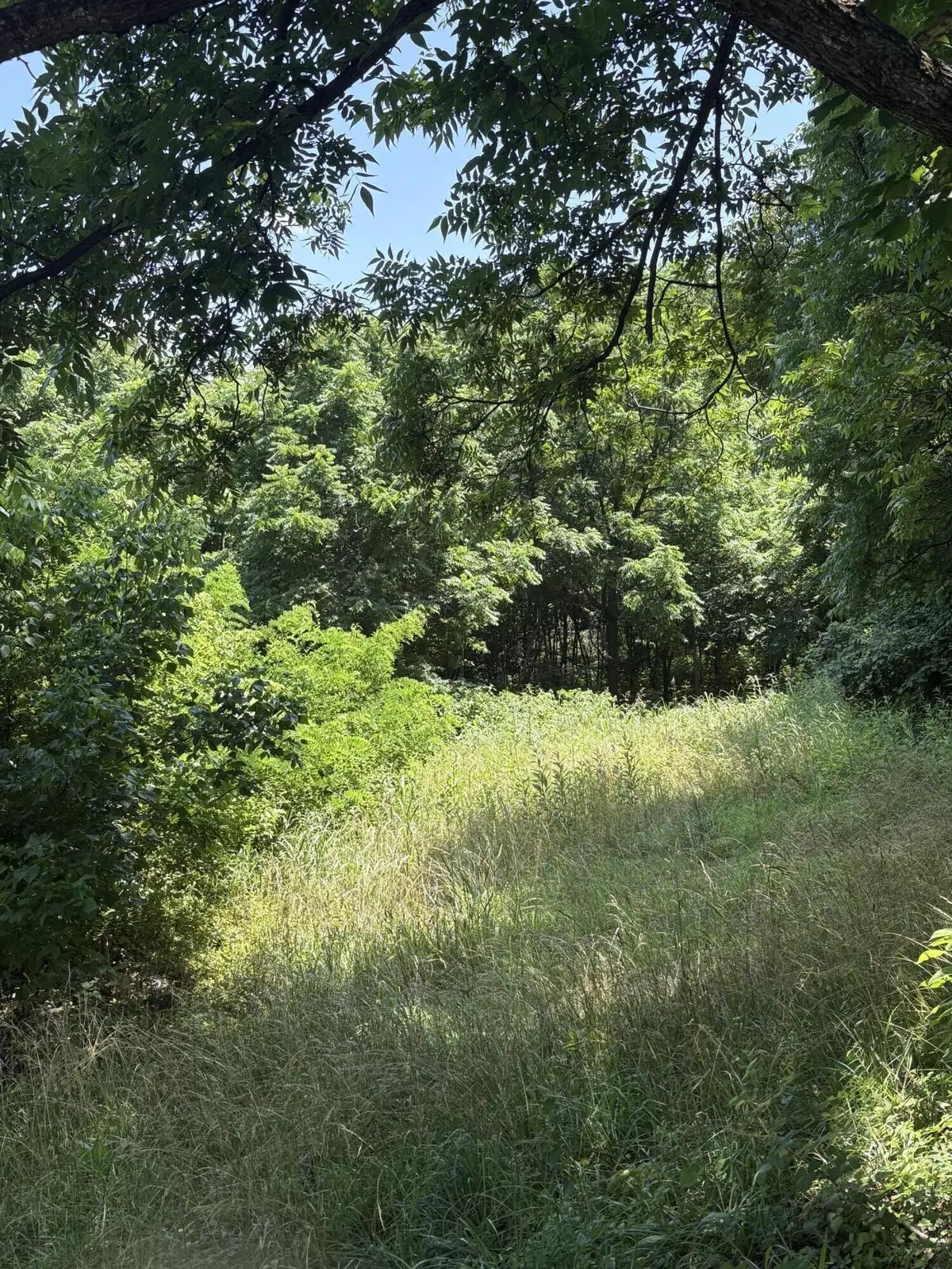 Roanoke, VA 24012,0 Howard AVE NE