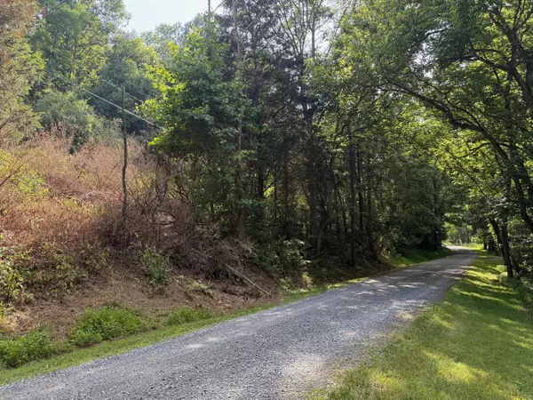 Fincastle, VA 24090,0 Baileywick LN