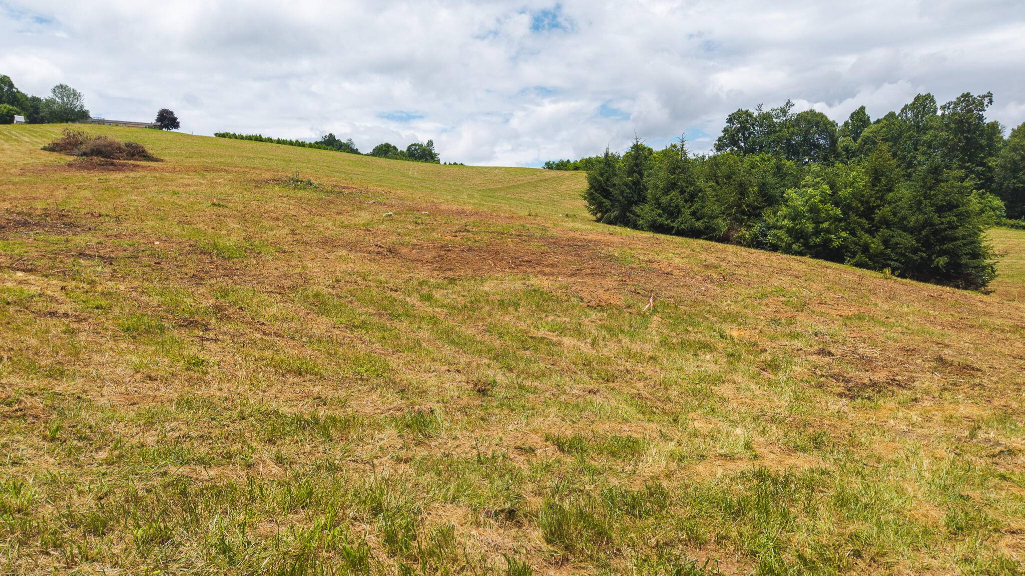 Willis, VA 24380,0 Ferney Creek RD NW