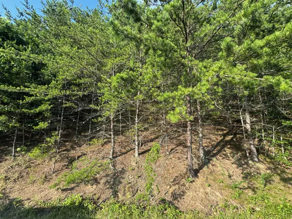 Roanoke, VA 24019,0 Teresa LN