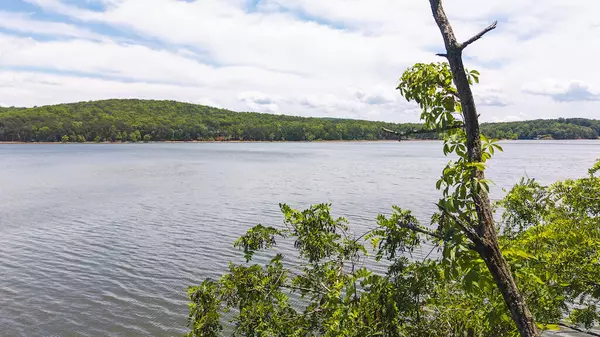 Lynch Station, VA 24571,Lot 205 Acres CT