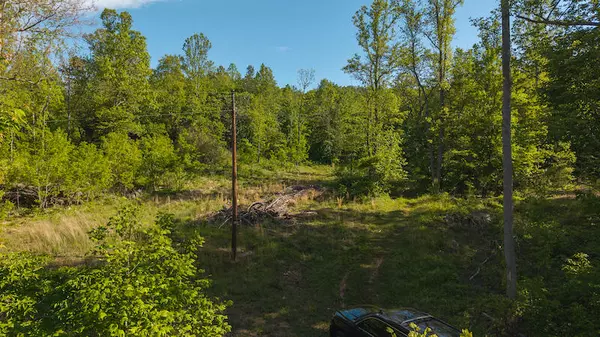Woolwine, VA 24185,Lot 1 Shortcut DR