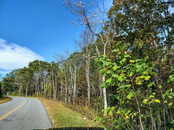 Tract 7 Three Oaks RD, Wirtz, VA 24184