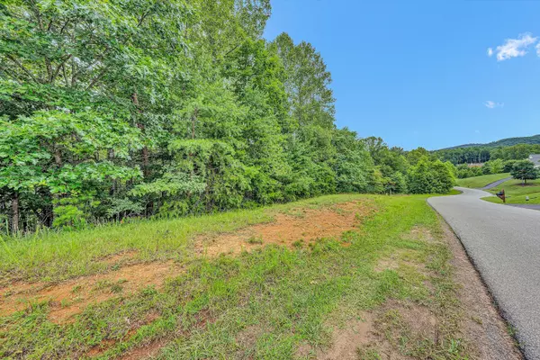 0 Thornblade WAY,  Blue Ridge,  VA 24064