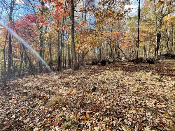 Blue Ridge, VA 24064,0 Hickory Falls RD