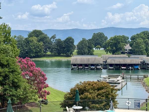 290 Sailors Cove DR #404, Moneta, VA 24121