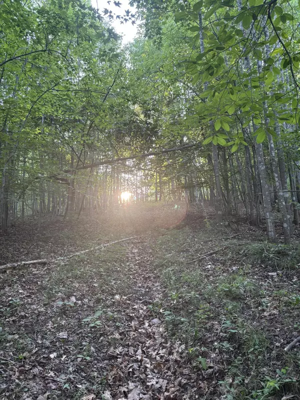 Martinsville, VA 24112,0 Lookout Mountain RD