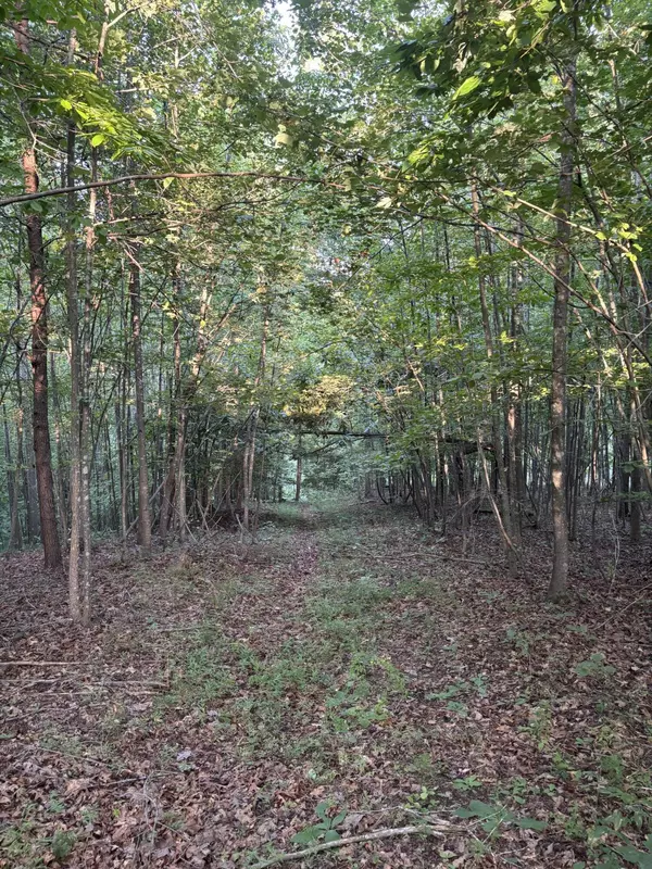 Martinsville, VA 24112,0 Lookout Mountain RD