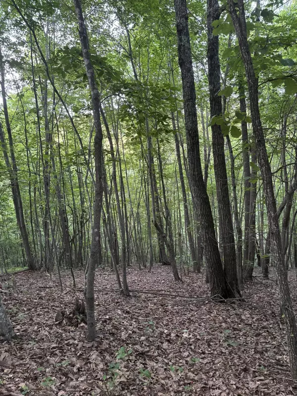 Martinsville, VA 24112,0 Lookout Mountain RD