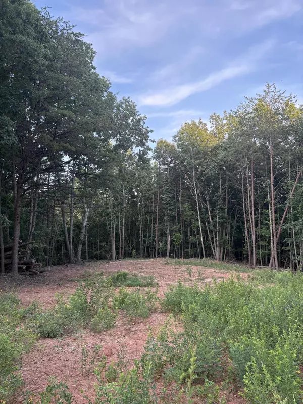 0 Lookout Mountain RD, Martinsville, VA 24112