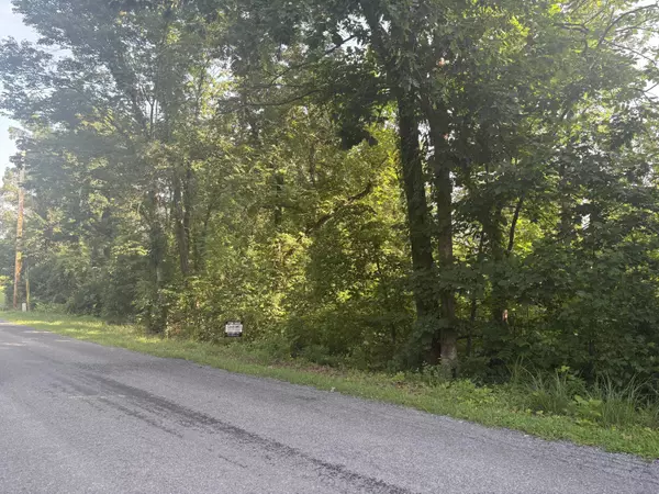 Buchanan, VA 24066,0 Oak Ridge RD