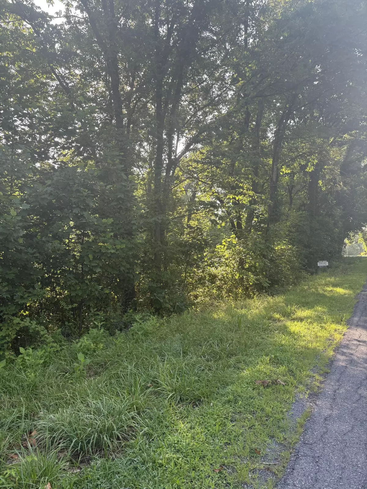 Buchanan, VA 24066,0 Oak Ridge RD