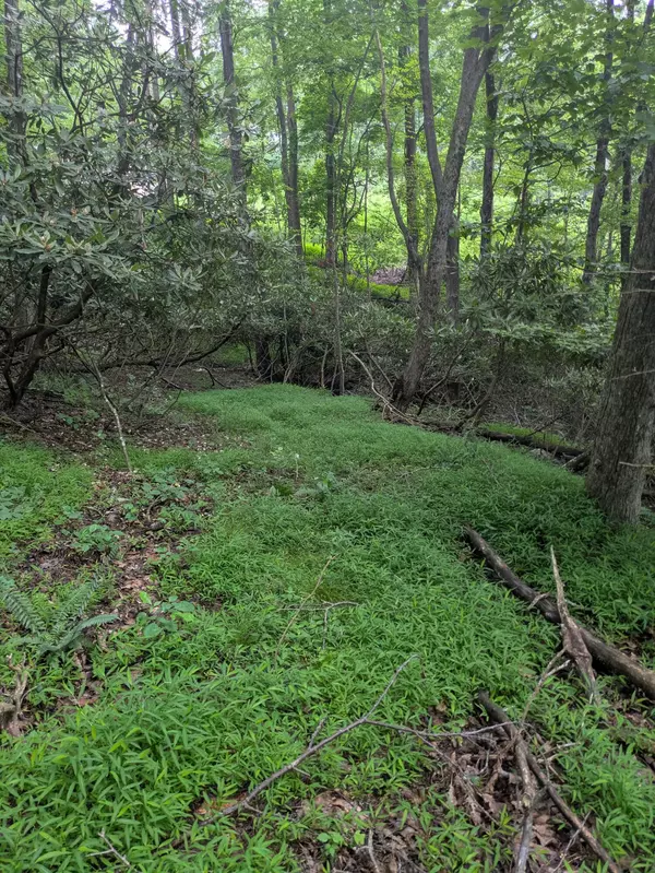 Fancy Gap, VA 24328,Lot 5 Elk Spur RD