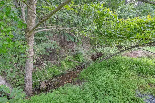 Blue Ridge, VA 24064,0 Healing Springs RD