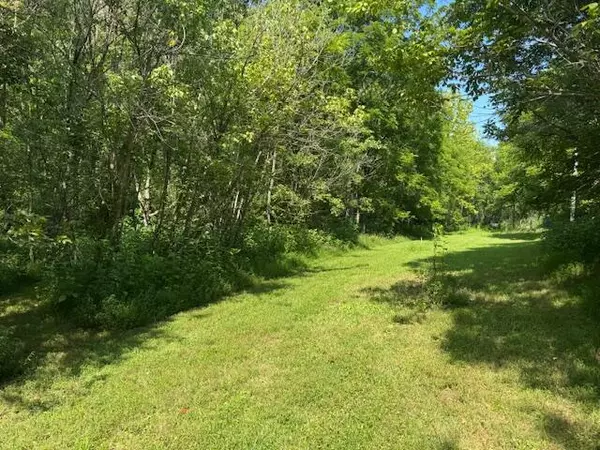 00 Fringer TRL, Buchanan, VA 24066