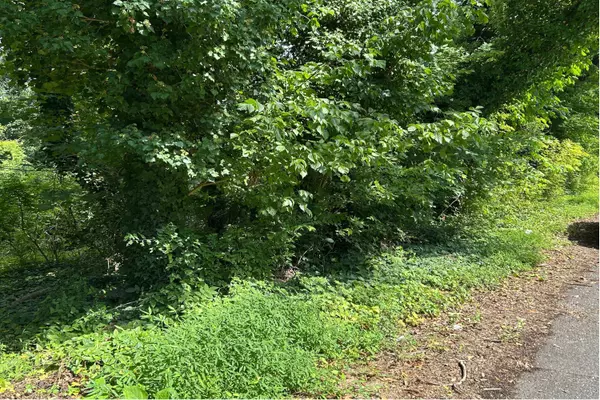 Brookneal, VA 24528,0 Brooke ST