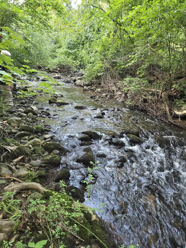 Bedford, VA 24523,00 Meadors Mill RD