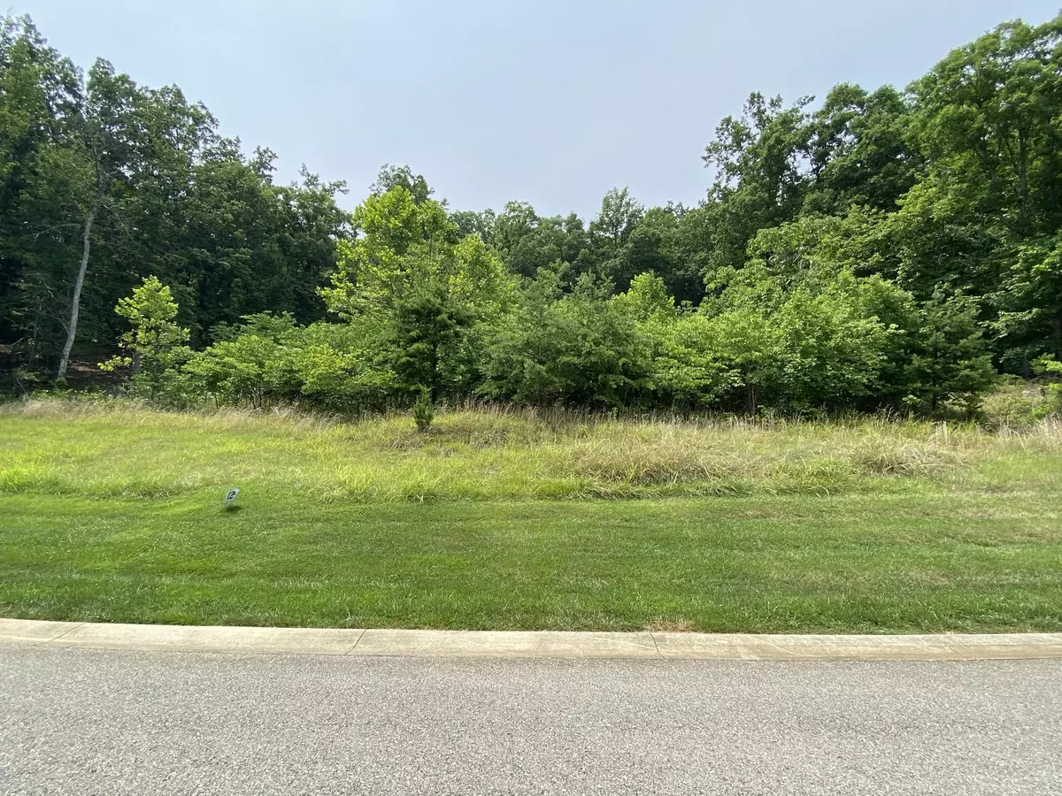 Rocky Mount, VA 24151,LOT 12 SUMMIT DR