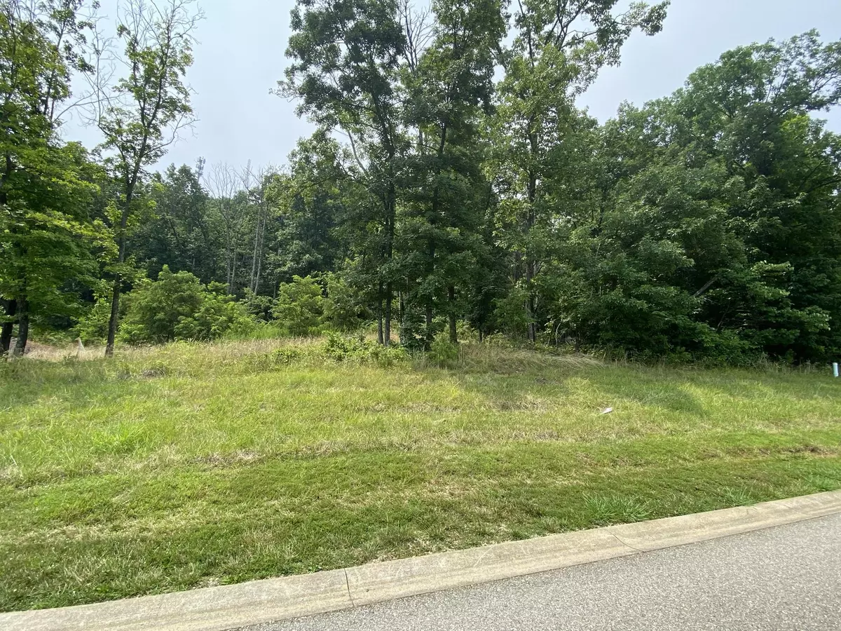 Rocky Mount, VA 24151,LOT 18 SUMMIT DR