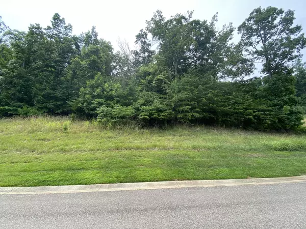 Rocky Mount, VA 24151,LOT 24 SUMMIT DR
