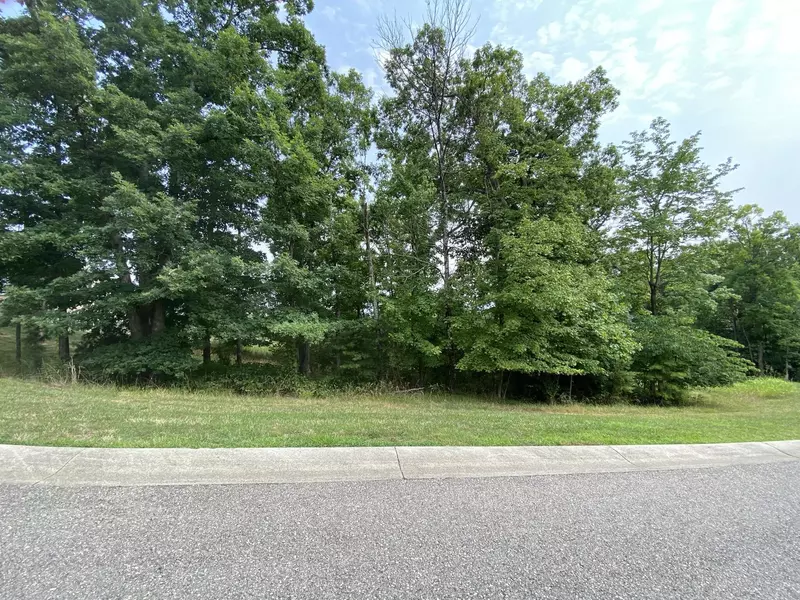 LOT 59 Summit DR, Rocky Mount, VA 24151