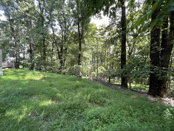 Thaxton, VA 24174,311 Willowridge DR