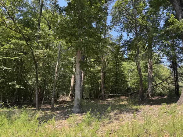 Wirtz, VA 24184,Lot 1 Red Barn LN