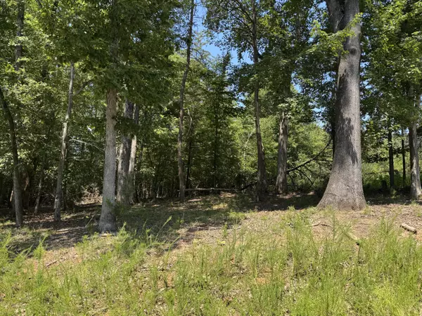 Wirtz, VA 24184,Lot 1 Red Barn LN