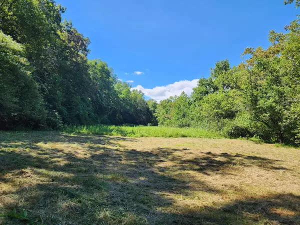 Glade Hill, VA 24092,Lot 6 Big River CIR