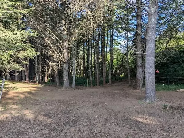 Indian Valley, VA 24105,825 Macks Mountain RD