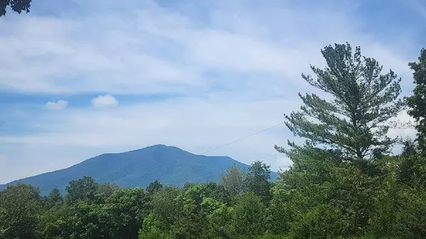 Bedford, VA 24523,209 Leatherwood PL