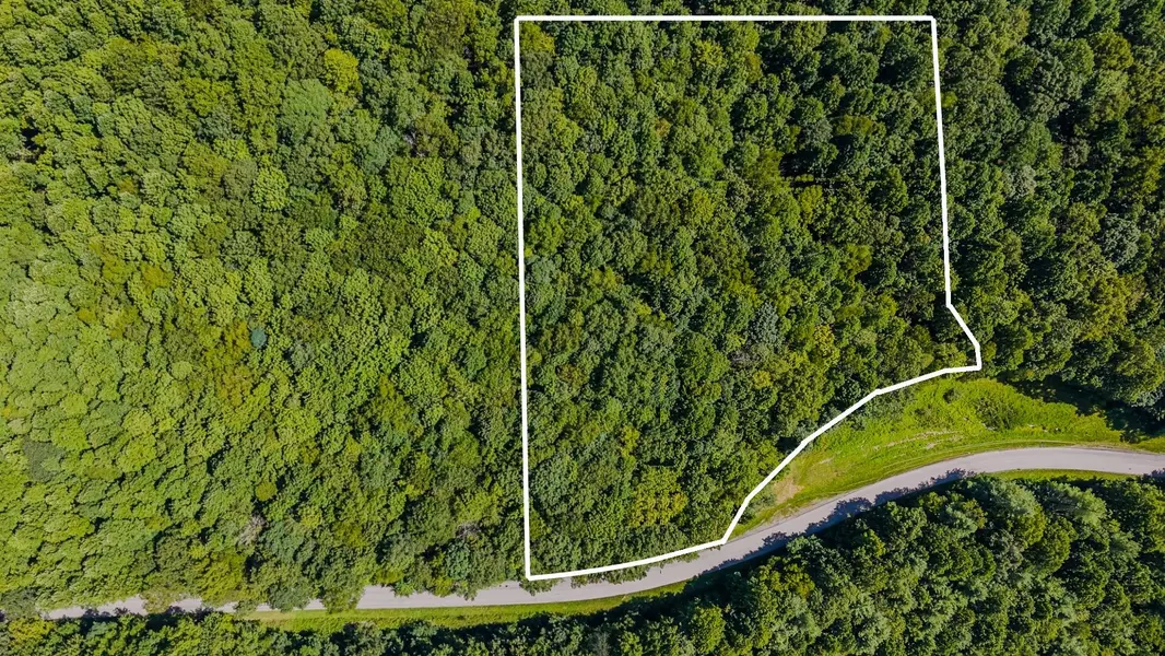 Lot 4 Phadettia RD, Willis, VA 24380