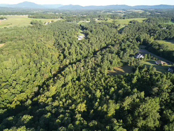 Wirtz, VA 24184,00 CONSTITUTION BLVD