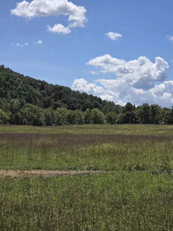 Troutville, VA 24175,Lot 20 Haymakertown RD