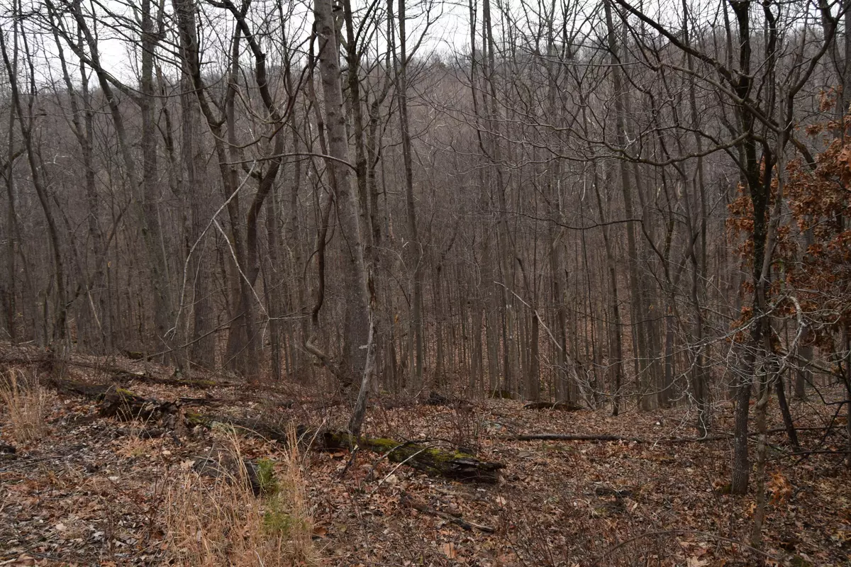 Blue Ridge, VA 24064,0 Hickory Falls RD