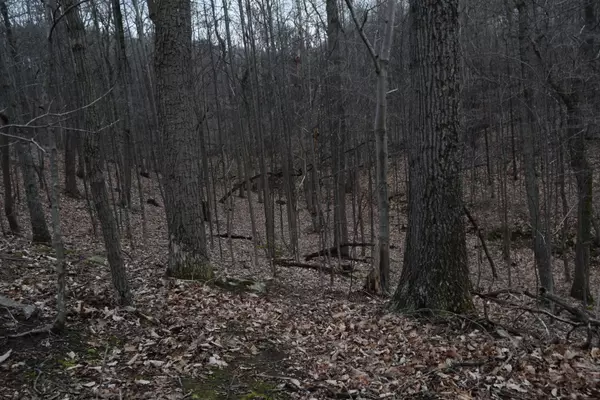 Blue Ridge, VA 24064,0 Hickory Falls RD