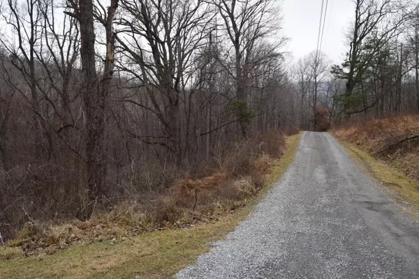 Blue Ridge, VA 24064,0 Hickory Falls RD
