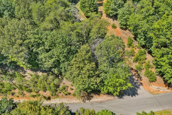 Moneta, VA 24121,Lot 10 Ravenwood DR