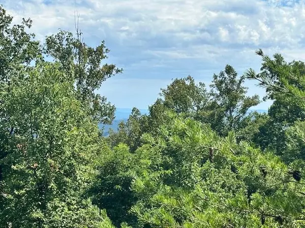 Rocky Mount, VA 24151,Lot 23 Summit DR